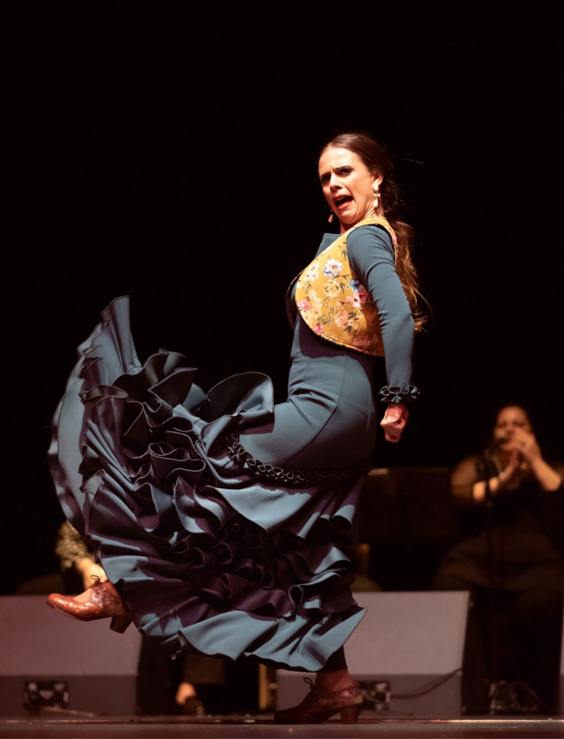 foto flamenco pata negra